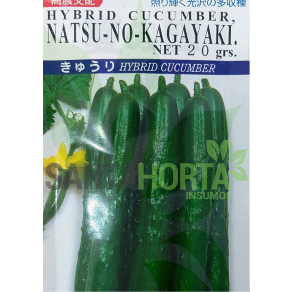 Pepino Híbrido Natsuno-Kagayaki