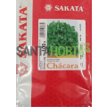 Salsa Chácara