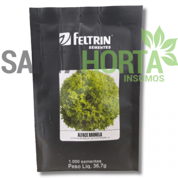 ALFACE BRUNELA  1.000 SMTES