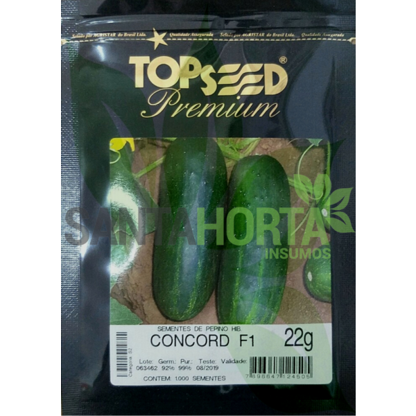 Pepino Híbrido Concord 