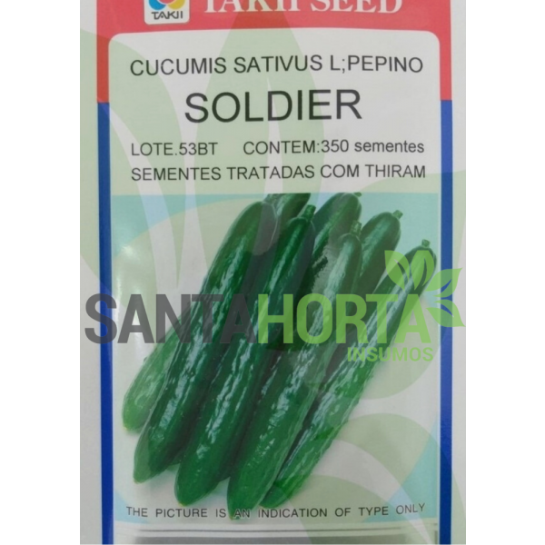 Pepino Soldier