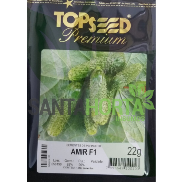Pepino Híbrido Amir