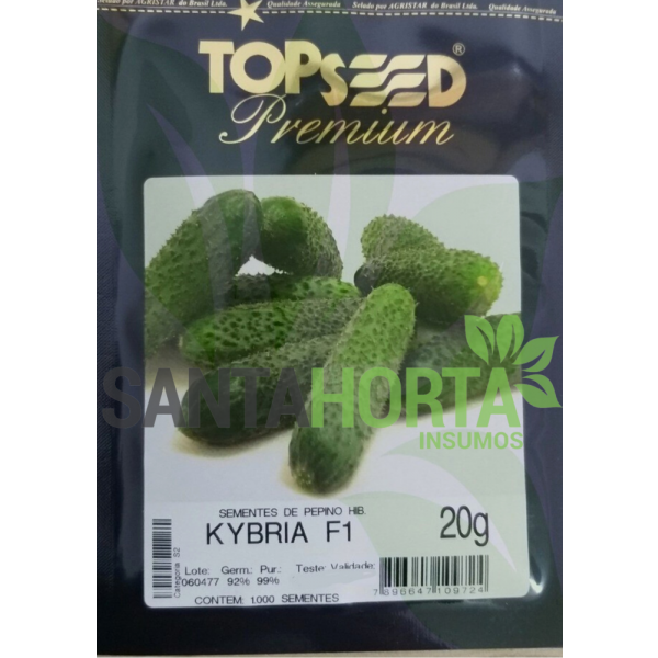Pepino Híbrido Kybria