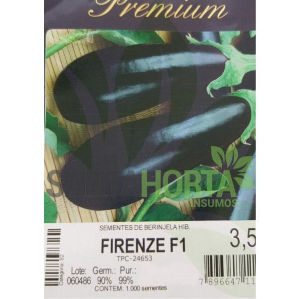 Berinjela Híbrida Firenze