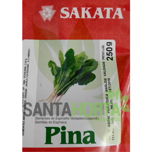 Espinafre Pina