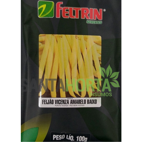 Feijão Vicenza Amarelo Baixo