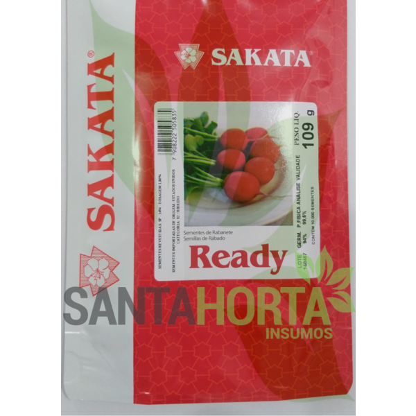 Rabanete Híbrido Ready
