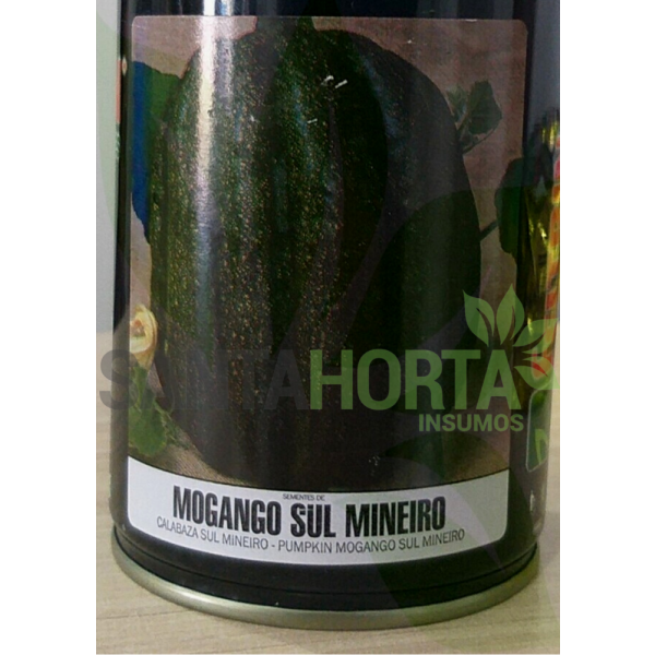 Abóbora Mogango Sul Mineiro