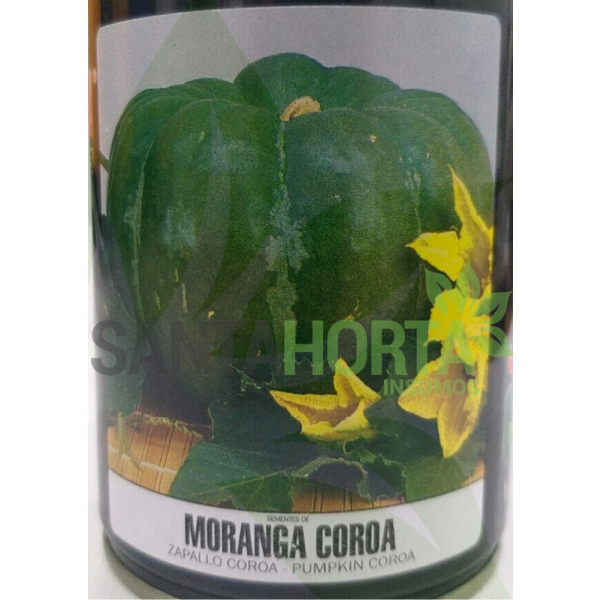 Abóbora Moranga Coroa