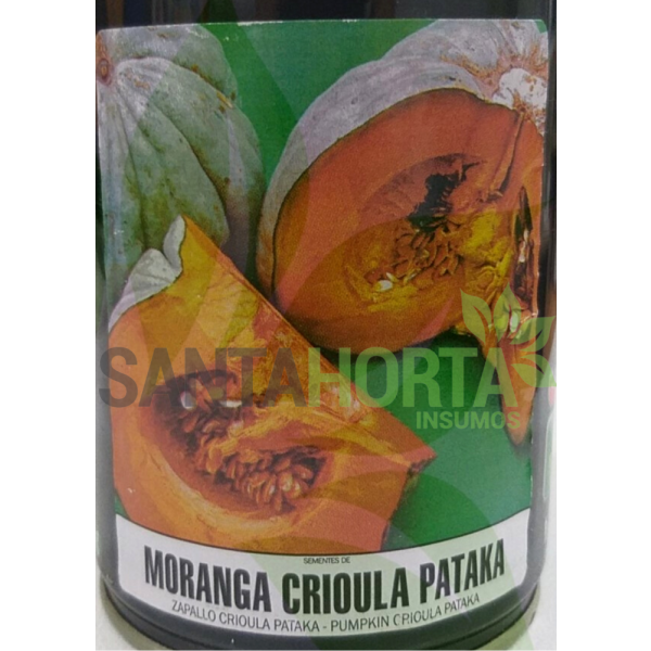 MORANGA CRIOLA PATAKA