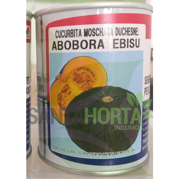 Abóbora Híbrida Ebisu