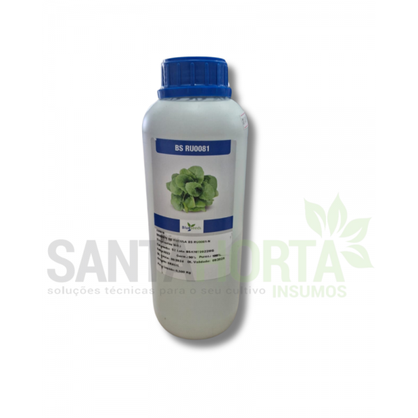 RUCULA BS RU0081 - 500G