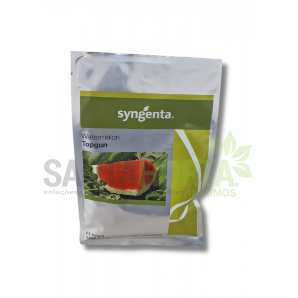 MELANCIA TOP GUN 1.000 SM SYNGENTA