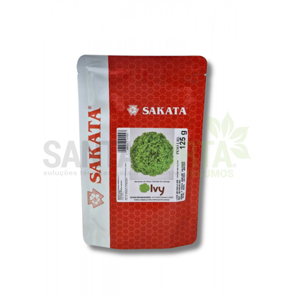 SEMENTES DE ALFACE IVY (PELETIZADA ENVELOPE 3.000 SEMENTES)