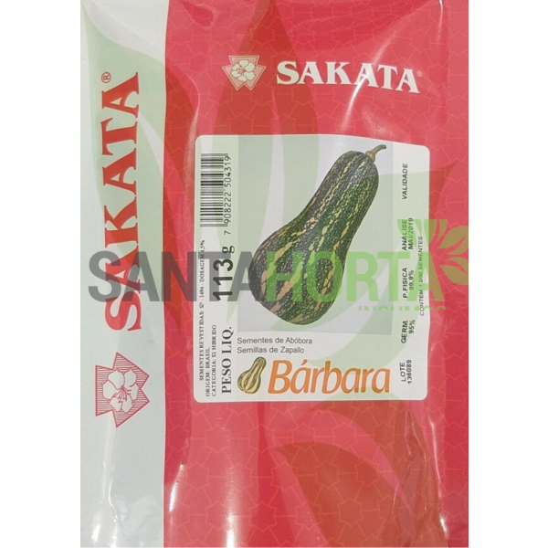 Abóbora Híbrida Barbara