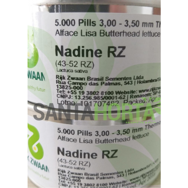 Alface Nadine