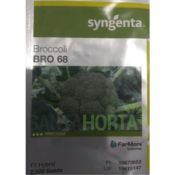 BROCOLIS BRO 068 2.500 SM SYNGENTA