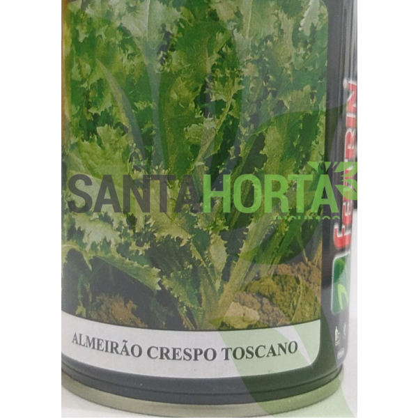 Almeirão Crespo Toscano