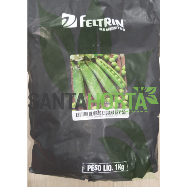 Ervilha de grão Luciana SF N° 50