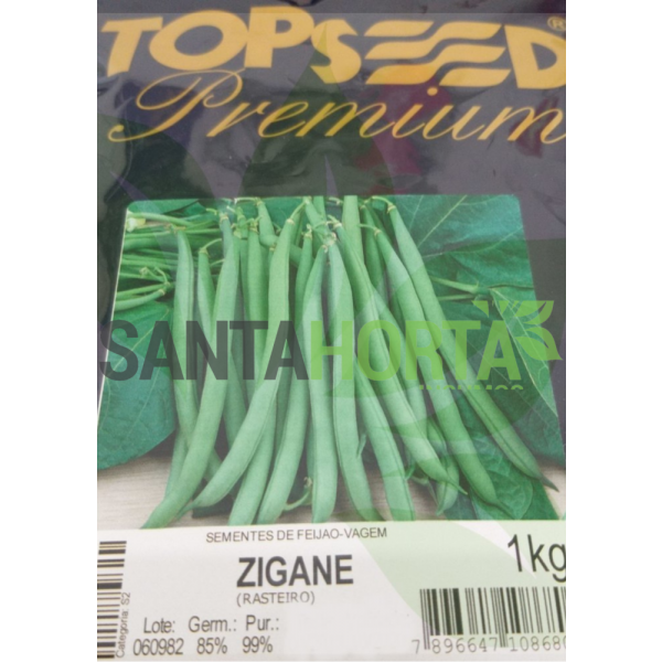 Feijão-vagem Zigane
