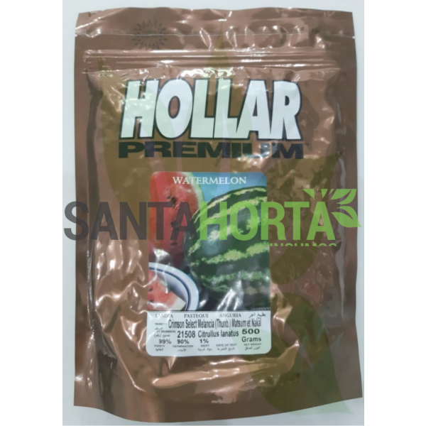 Melancia Hollar Premium (Crimson)