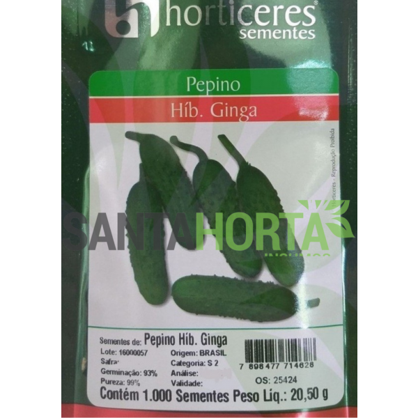 Pepino Híbrido Ginga 