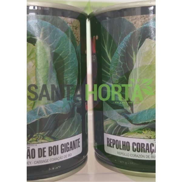 Repolho Coração de Boi Gigante