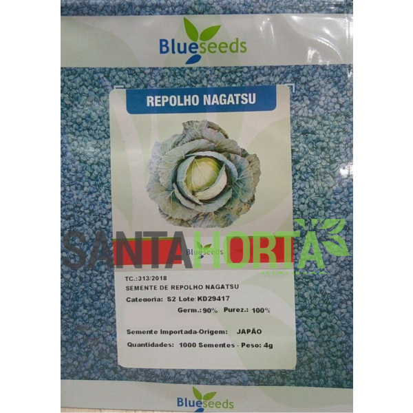 Repolho Nagatsu