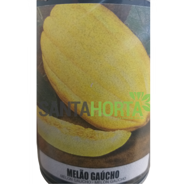 Melão Gaúcho Casca de Carvalho