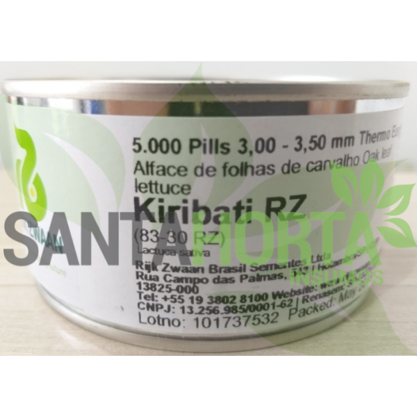 ALFACE KIRIBATI  5 MX - RIJK ZWAAN