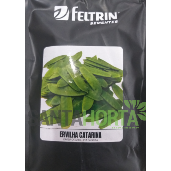 Ervilha Catarina