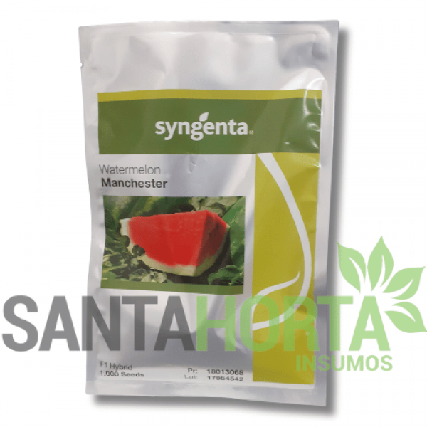 MELANCIA MANCHESTER 1.000 SM SYNGENTA