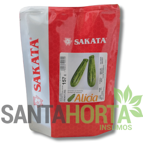 SEMENTES DE ABOBRINHA ALICIA (HIBRIDO STAND UP 1.000 SEM)
