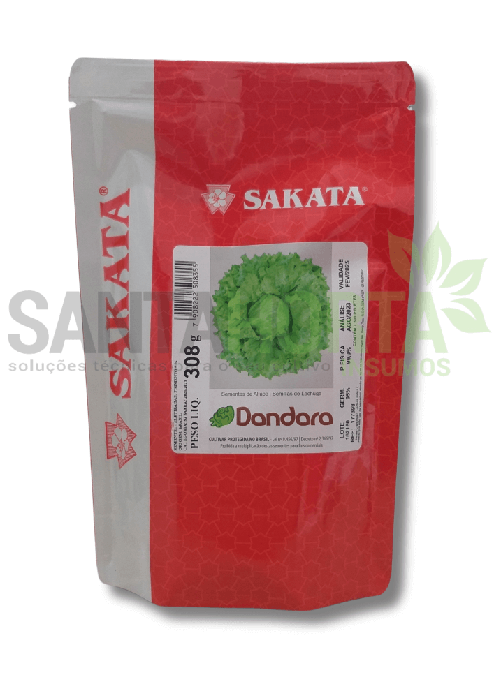 SEMENTES DE ALFACE DANDARA (PELETIZADA STAND-UP 7.500 SEMENTES)