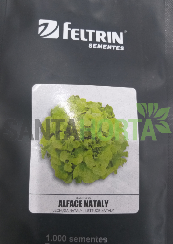Alface Nataly