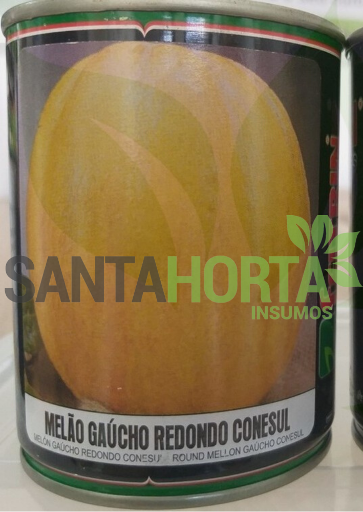 Melão Gaúcho Redondo Conesul