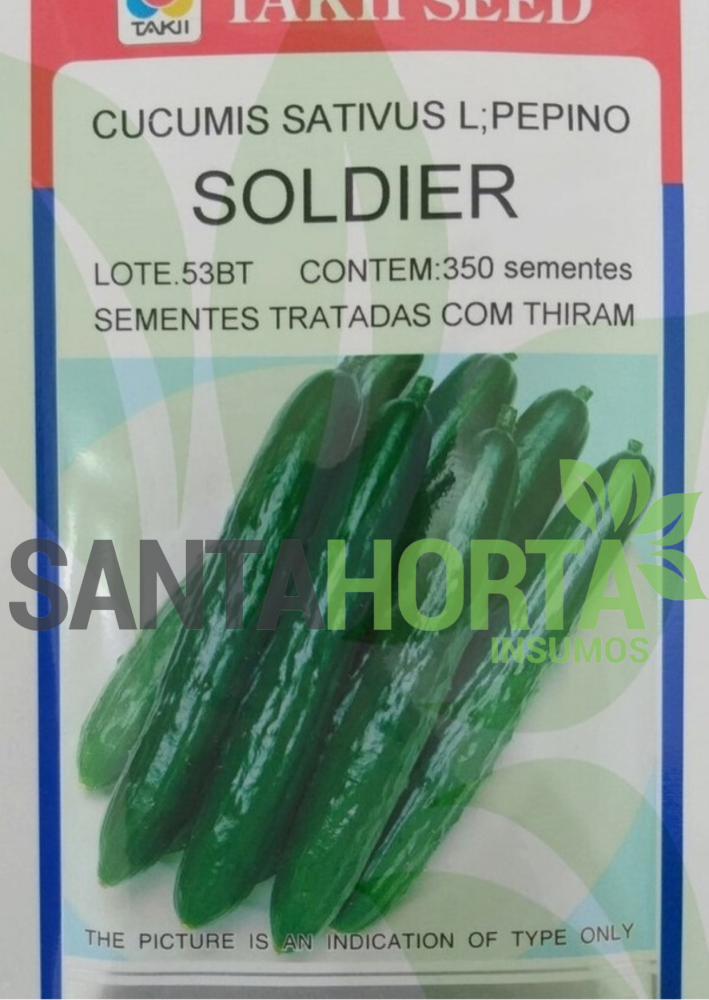 Pepino Soldier