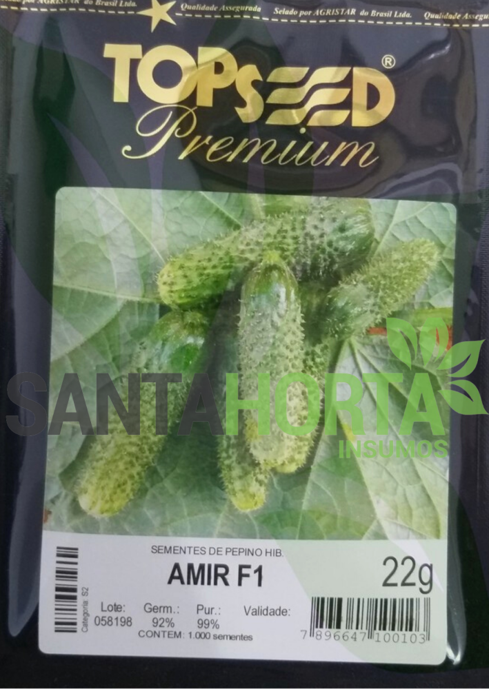 Pepino Híbrido Amir