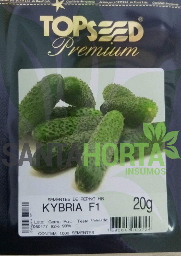 Pepino Híbrido Kybria