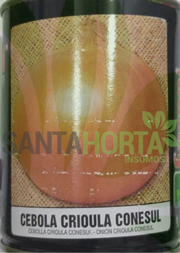 Cebola Crioula Conesul