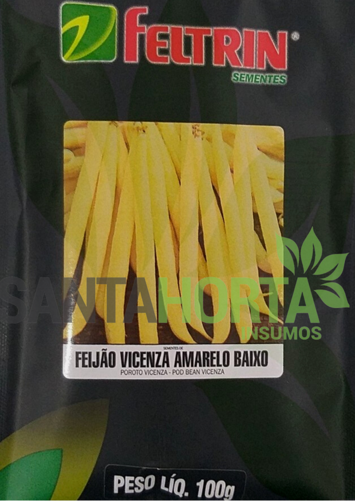 Feijão Vicenza Amarelo Baixo