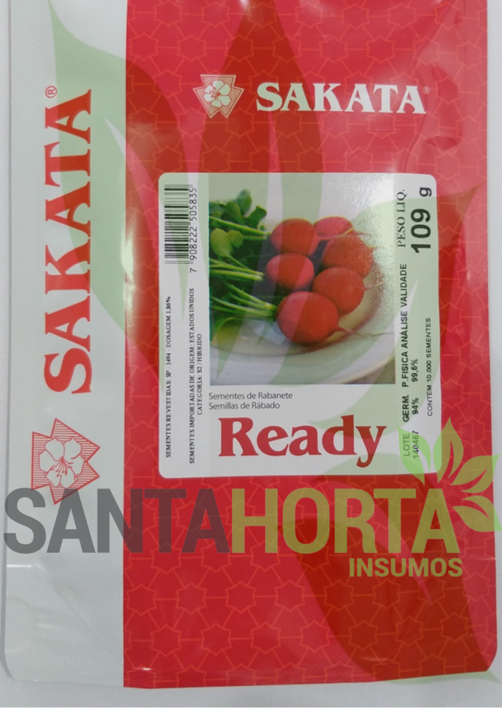 Rabanete Híbrido Ready
