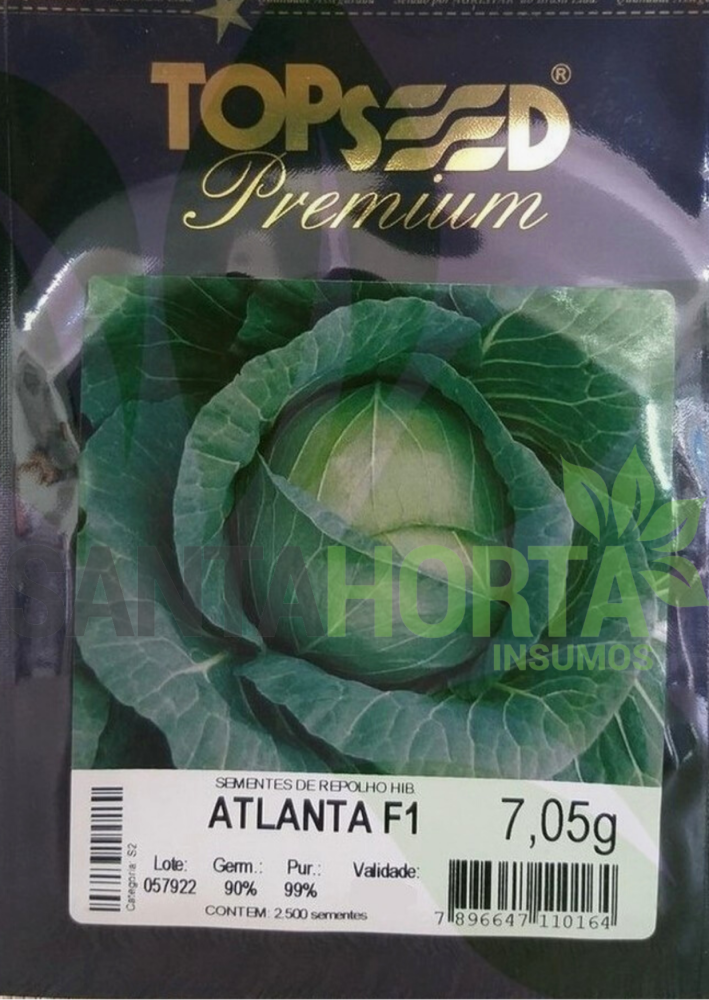 Repolho Híbrido Atlanta 