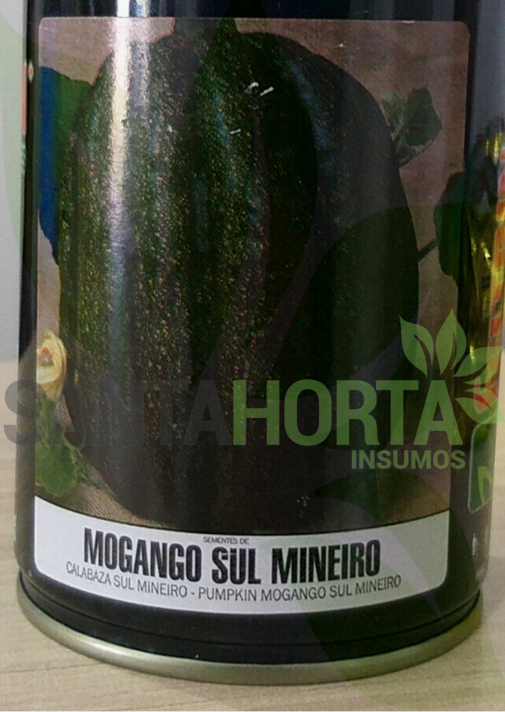 Abóbora Mogango Sul Mineiro
