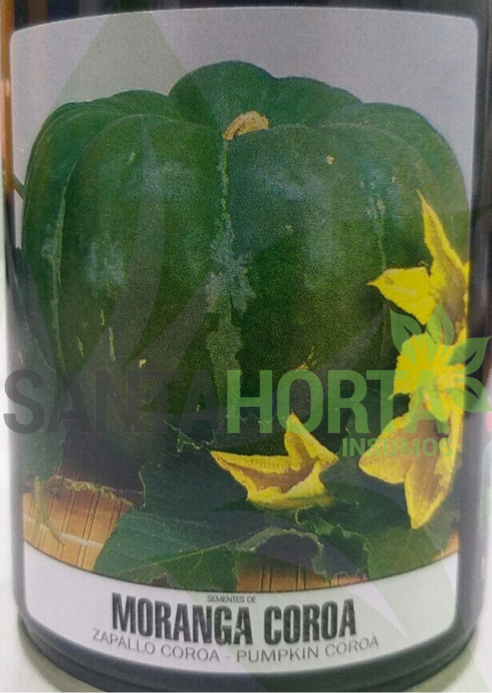 Abóbora Moranga Coroa