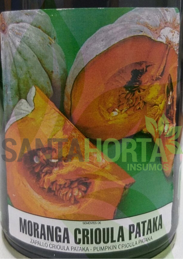 MORANGA CRIOLA PATAKA