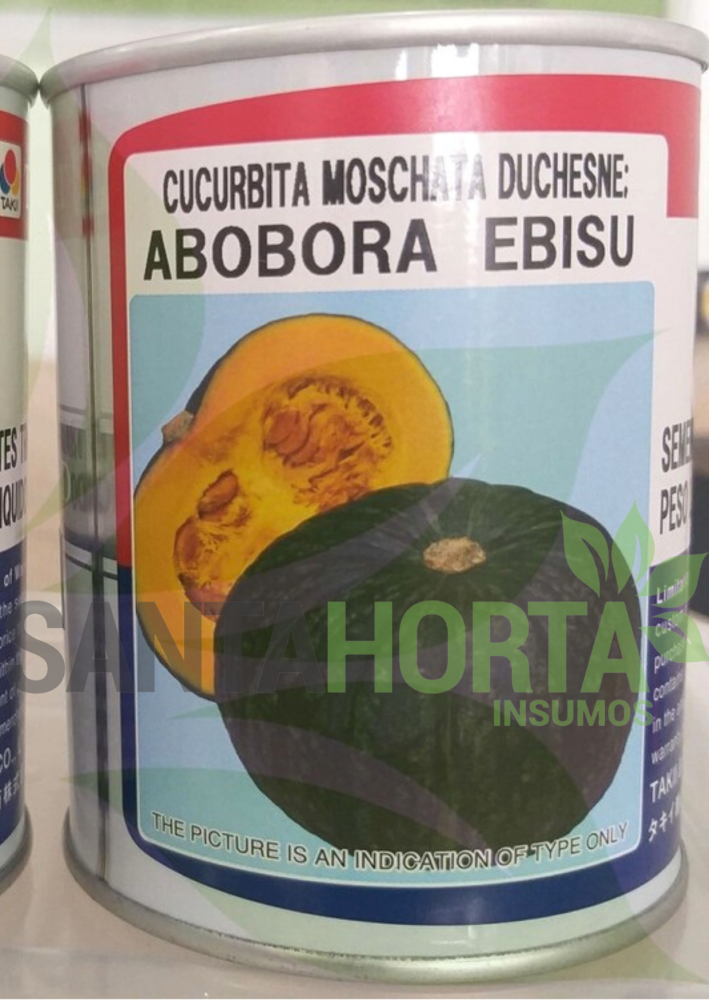 Abóbora Híbrida Ebisu