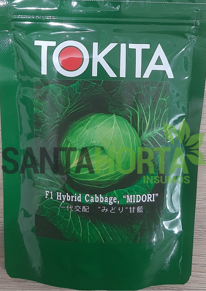 SEMENTES DE REPOLHO HIB. MIDORI F1 - TO - PCTE MD ALUM 100 g