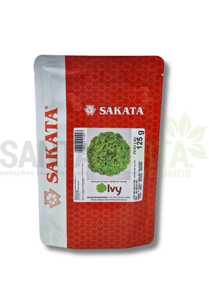 SEMENTES DE ALFACE IVY (PELETIZADA ENVELOPE 3.000 SEMENTES)