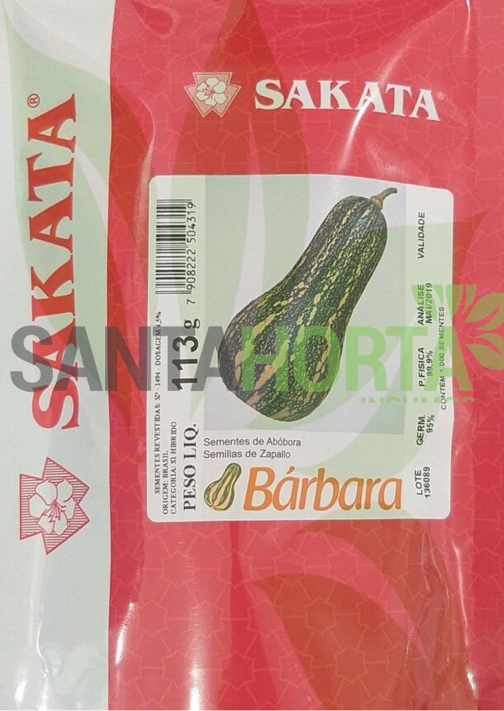 Abóbora Híbrida Barbara